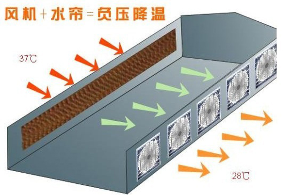 降溫風機廠家